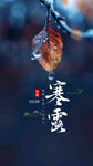 2023寒露 