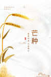 芒种海报