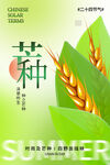 芒种海报