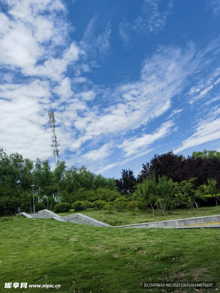 草地