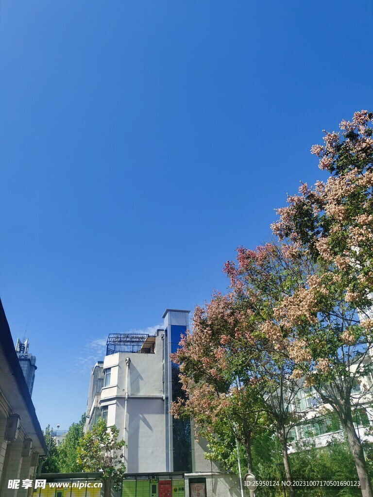蓝天