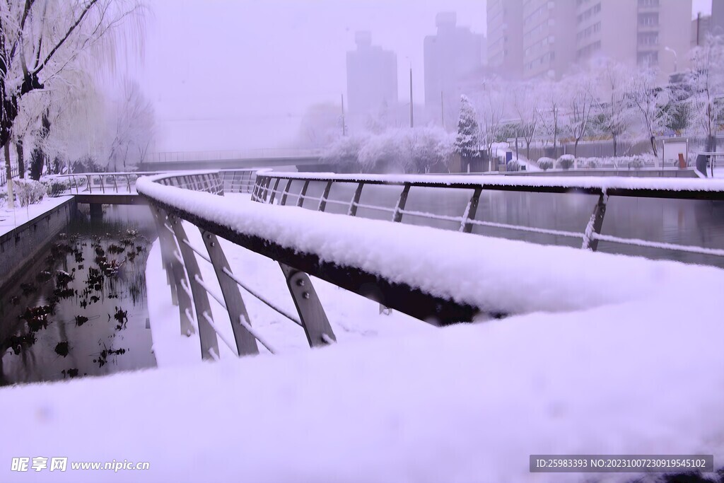 积雪的公园