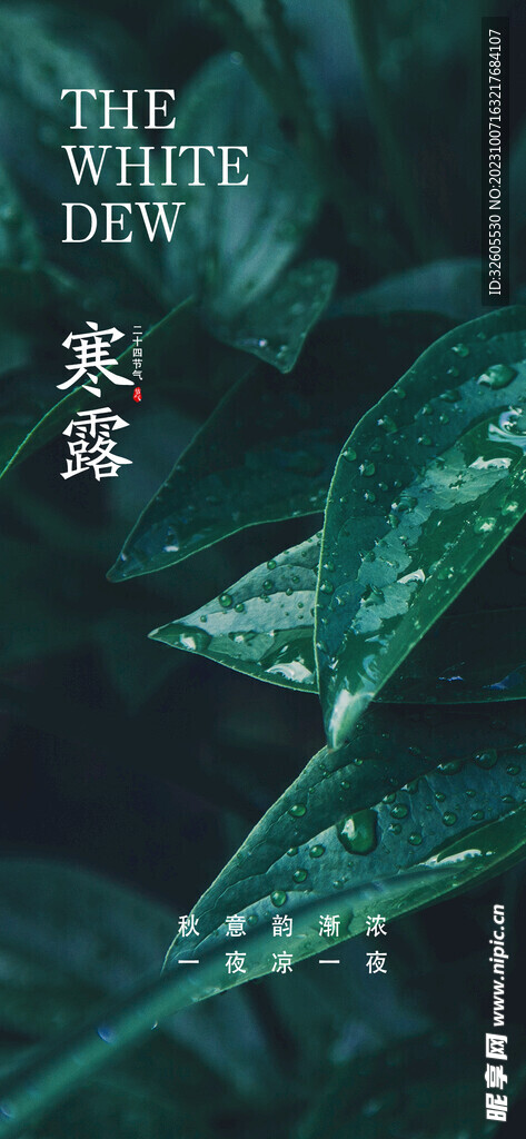 寒露  