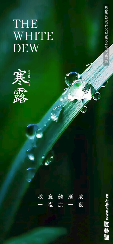 寒露