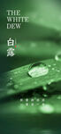 寒露