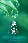 寒露海报           