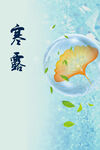 寒露海报           