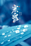 寒露海报           