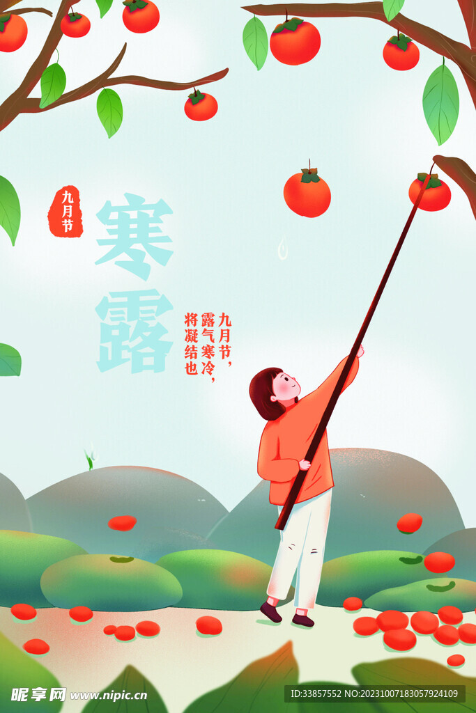 寒露海报           