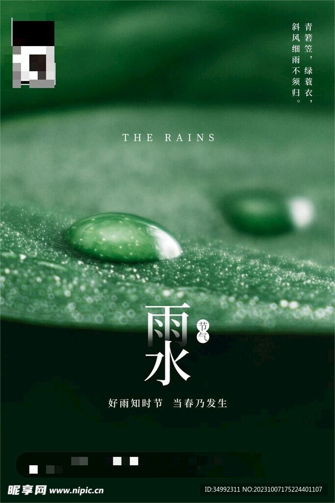 雨水