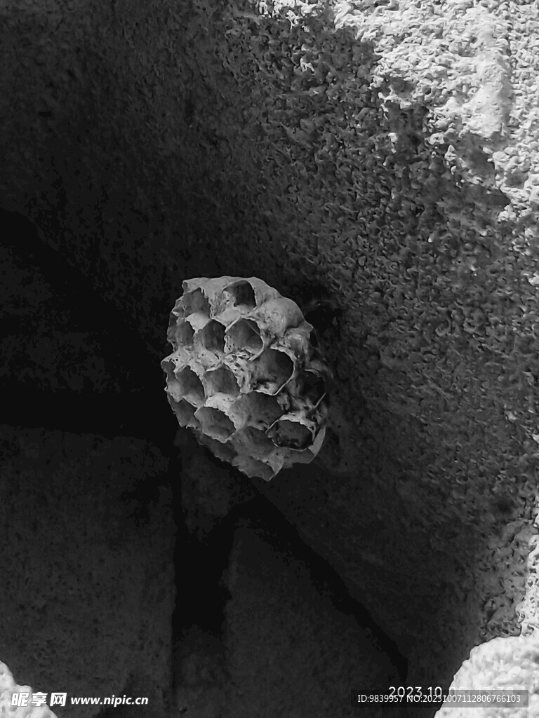 黑白照片蜂巢