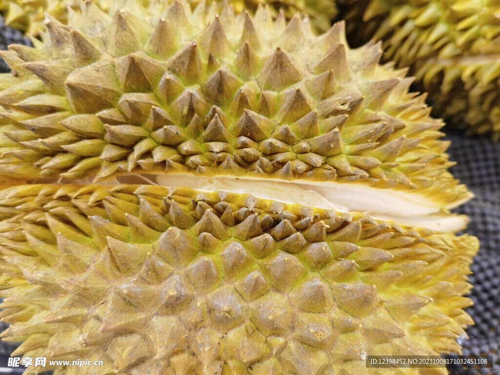 榴莲