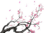 水墨梅花