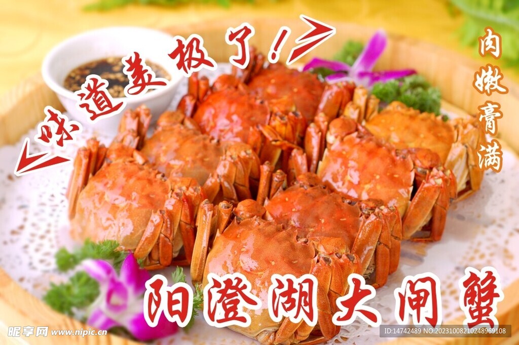 阳澄湖大闸蟹