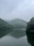 南山竹海