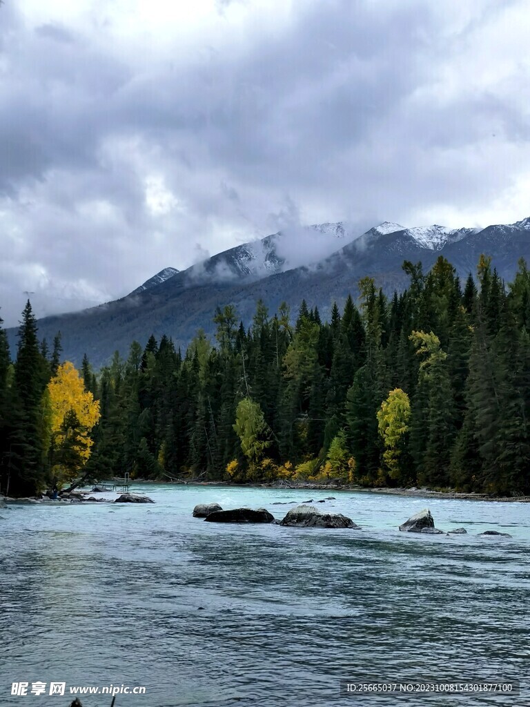 山水树林