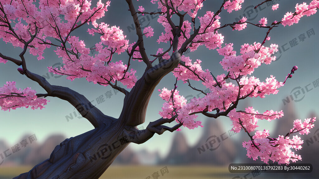 无锡梅花