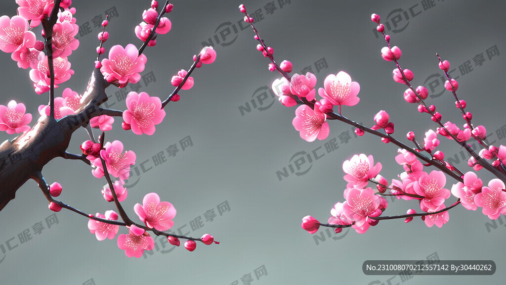 无锡梅花