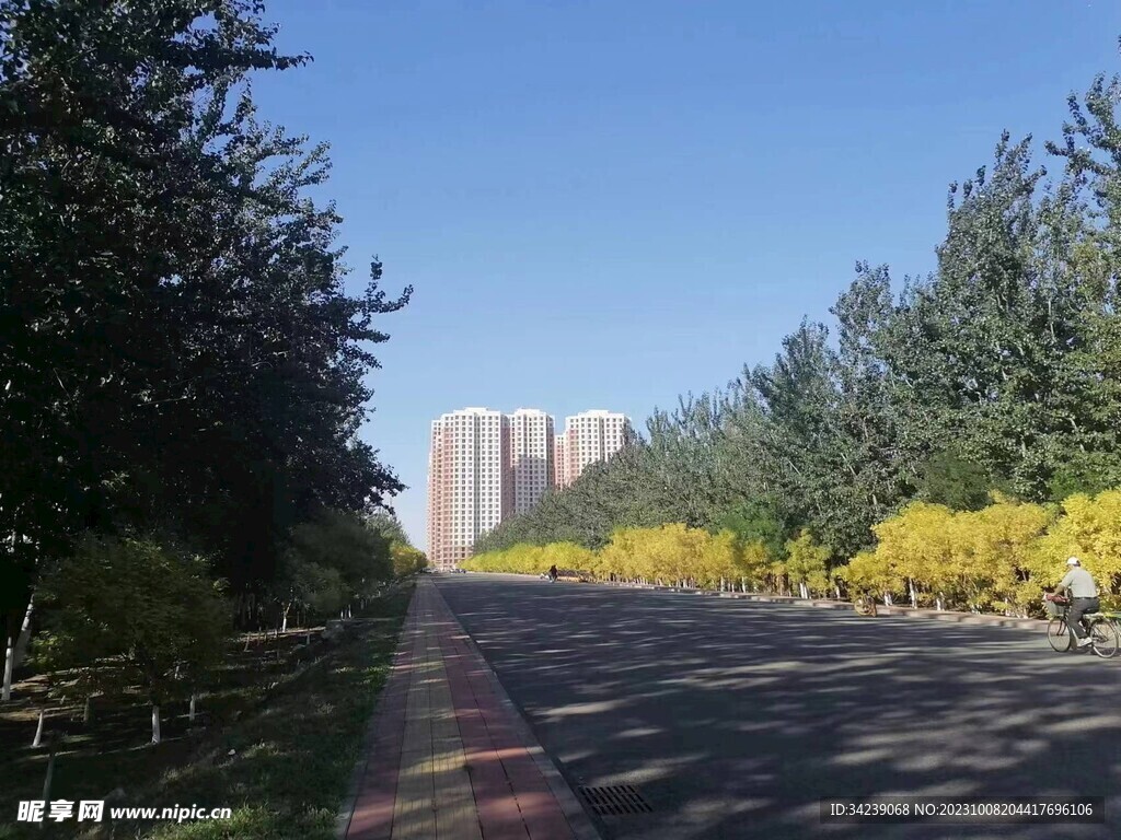悠闲道路
