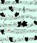 黑猫音符