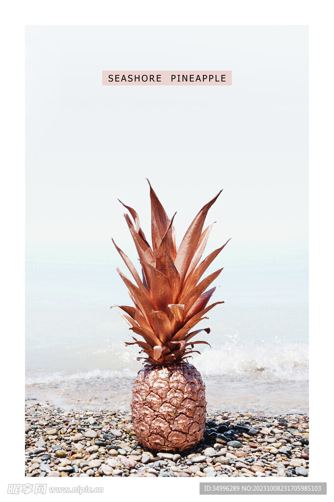 沙滩上的金菠萝