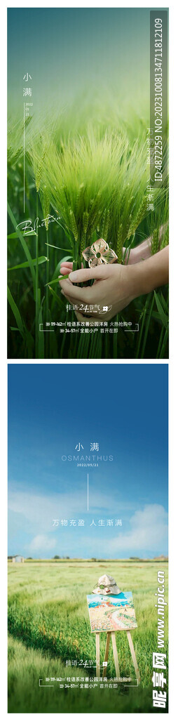 小满  节气