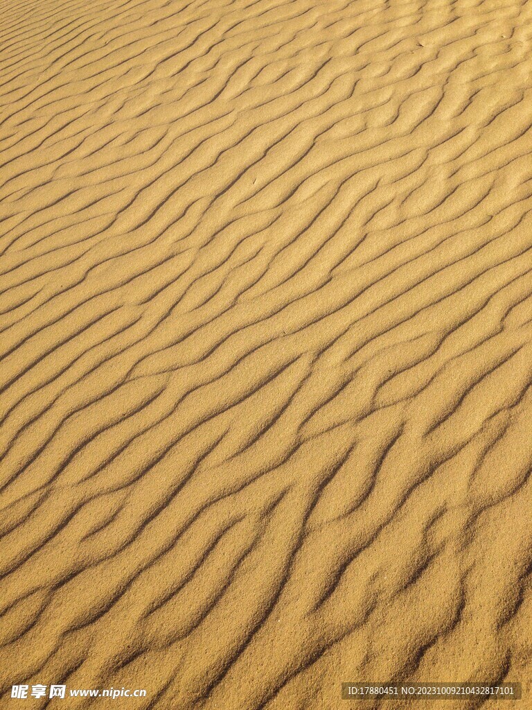 沙漠