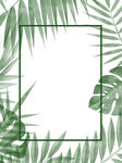  植物边框