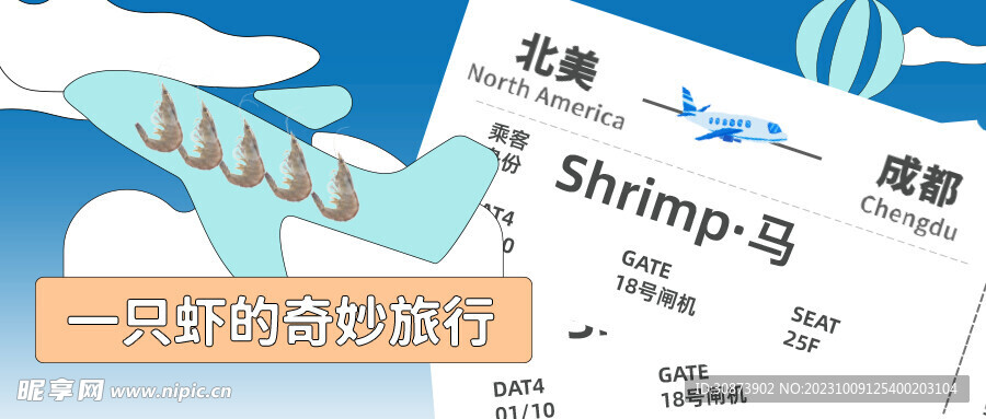 飞机票
