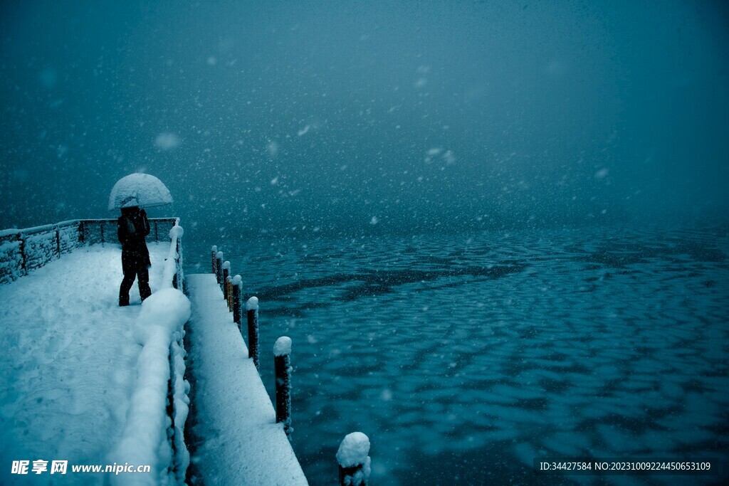 雪天中湖边赏雪