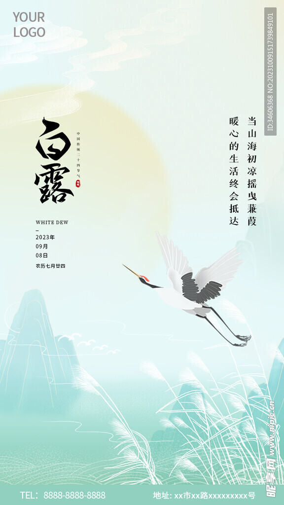 白露节气海报