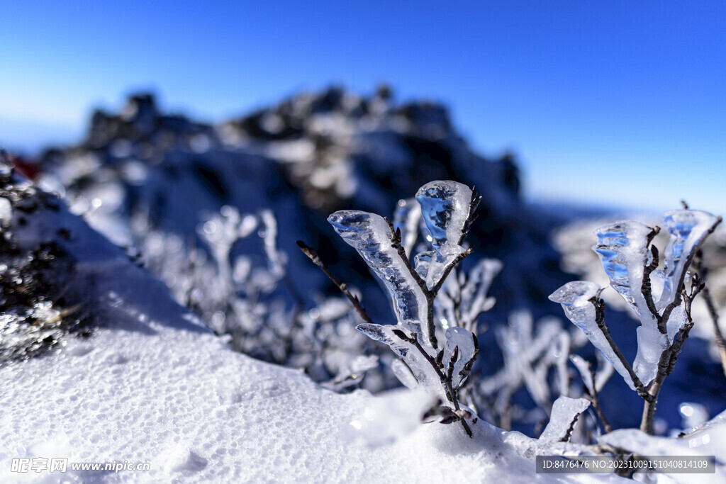 雪山风景