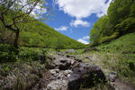 山顶风光