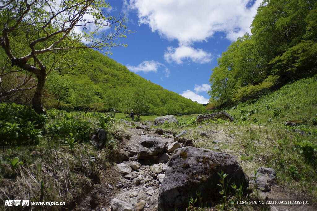 山顶风光