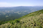 山顶风光