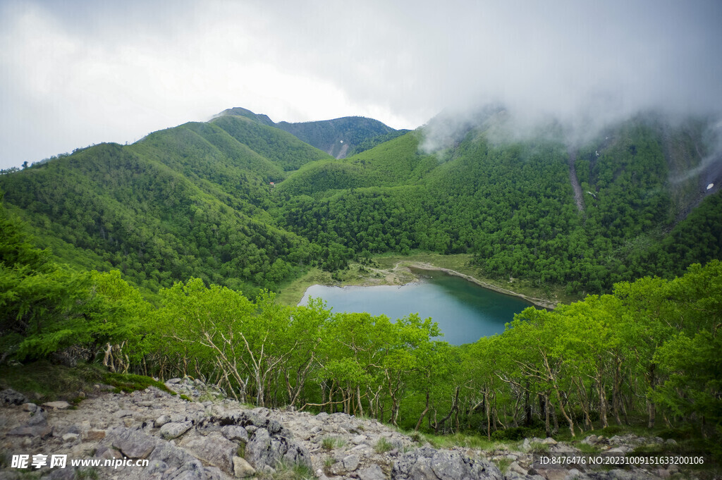 山顶风光