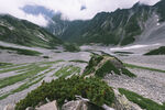 山顶风光