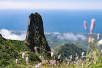 山顶风光