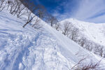 雪山风光