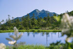 山顶风光