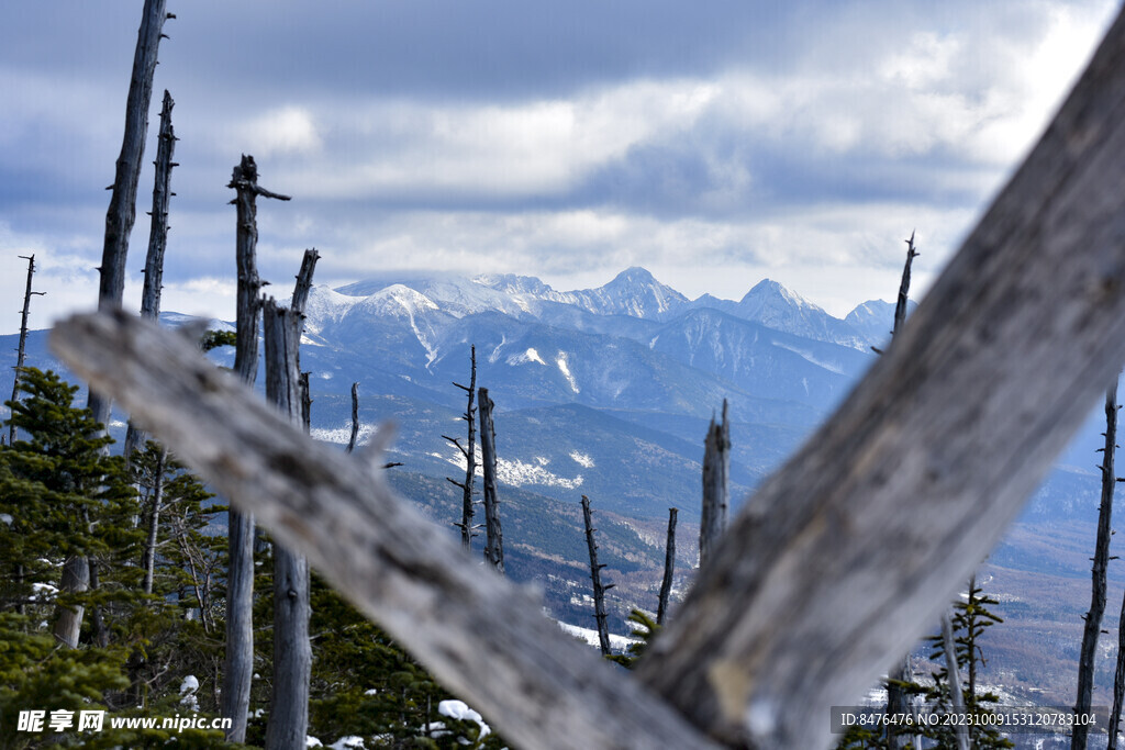 山顶风光