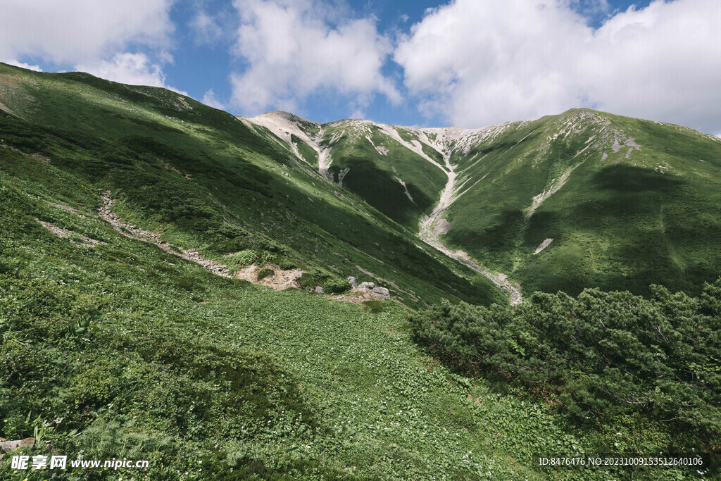 山顶风光