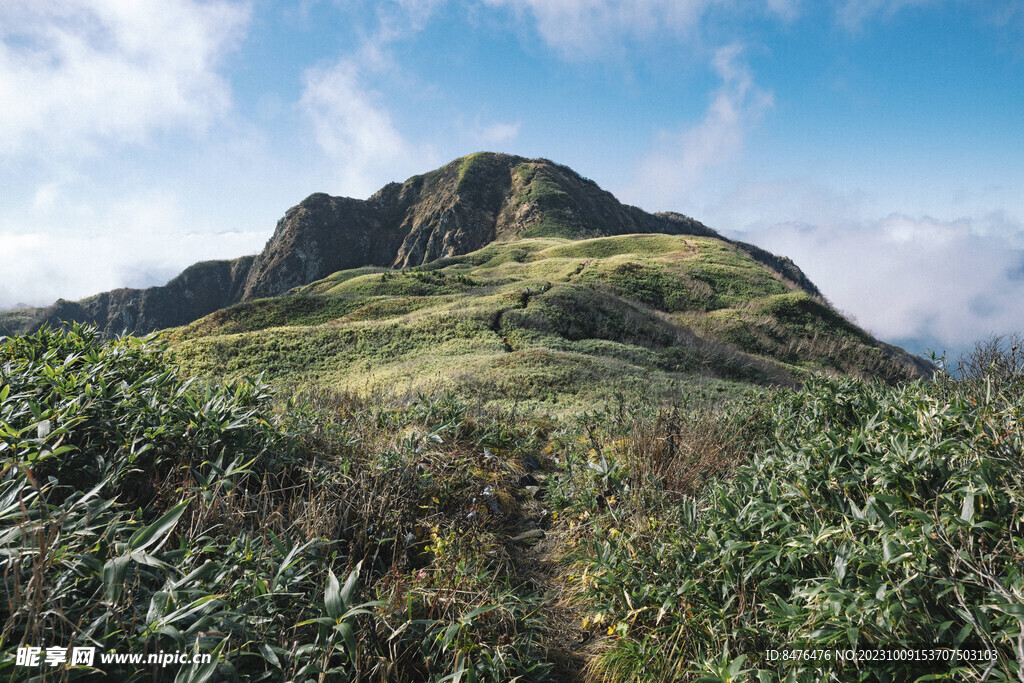 山顶风光