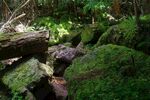 山顶风光