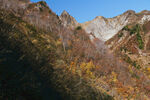 山顶风光