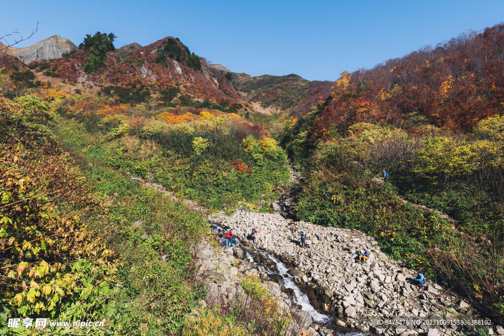 山