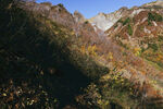 山
