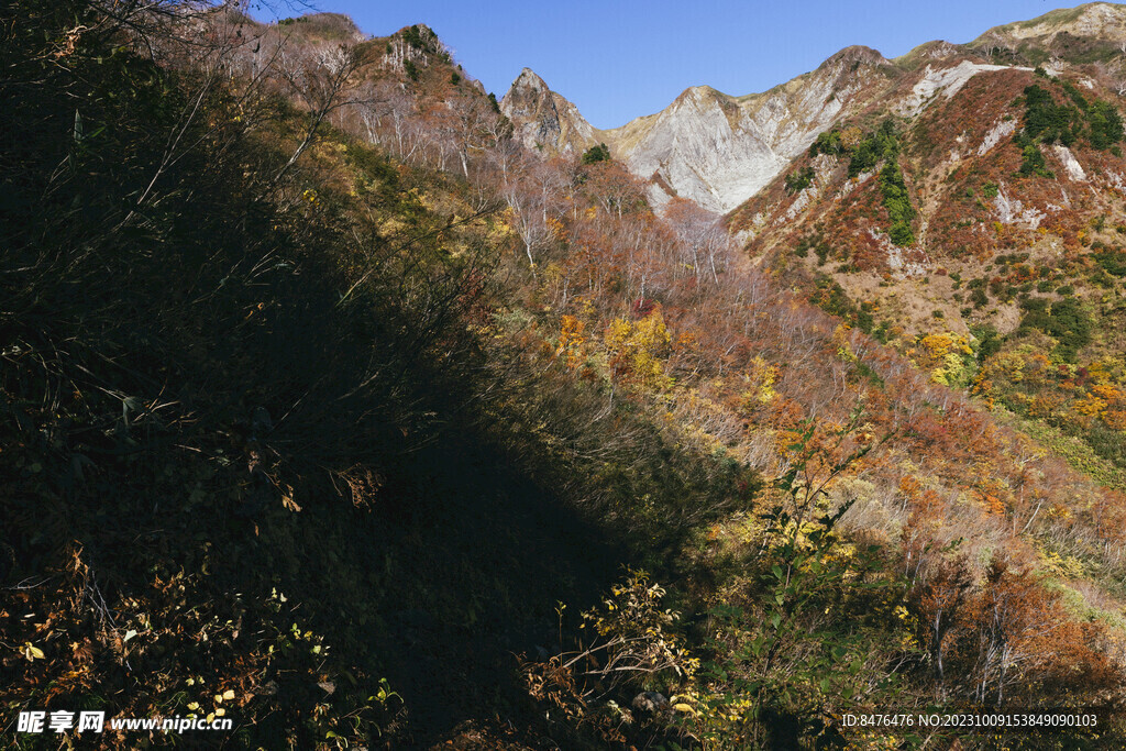 山