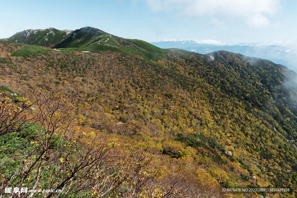 山顶