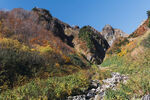 山